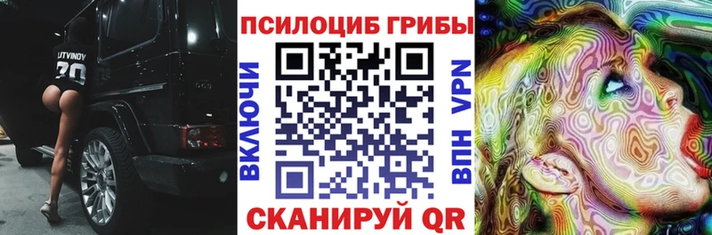 Галлюциногенные грибы прущие грибы Купить закладки Курчатов